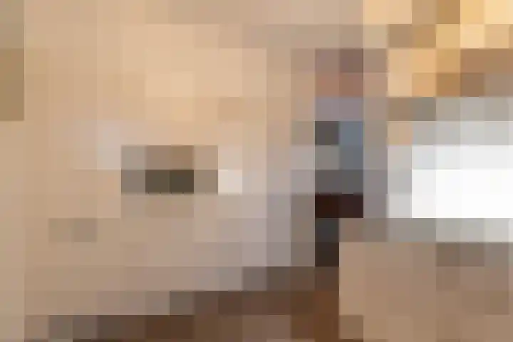 Hoofdstraat 61 Vroomshoop thumbnail 21