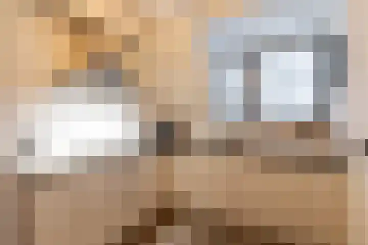 Hoofdstraat 61 Vroomshoop thumbnail 23