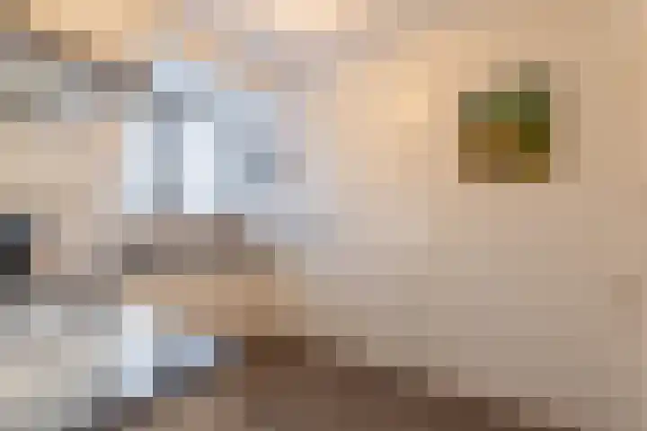 Hoofdstraat 61 Vroomshoop thumbnail 24