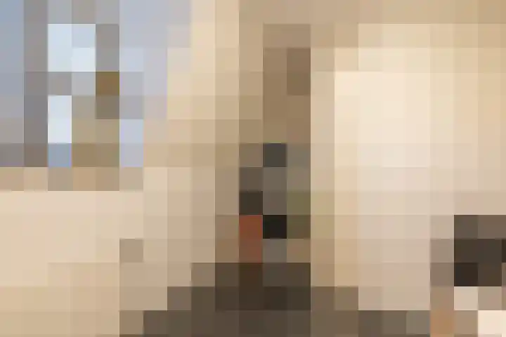 Hoofdstraat 61 Vroomshoop thumbnail 26