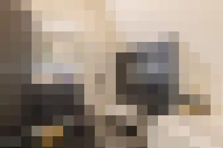 Hoofdstraat 61 Vroomshoop thumbnail 30