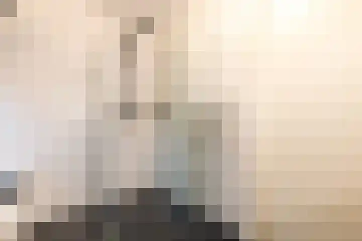 Hoofdstraat 61 Vroomshoop thumbnail 31