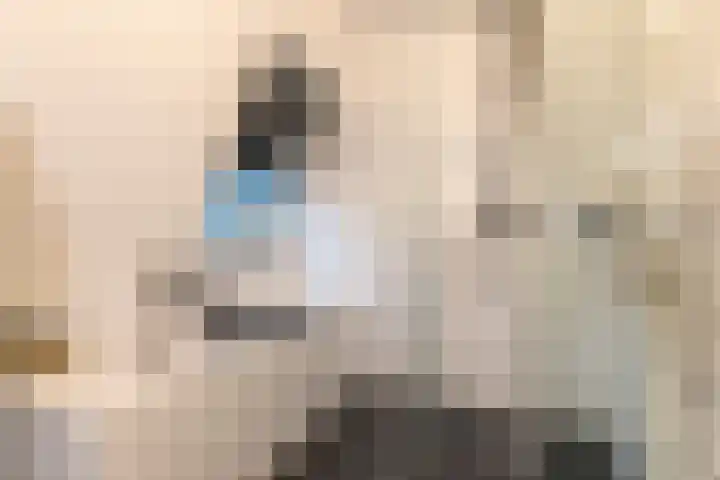 Hoofdstraat 61 Vroomshoop thumbnail 32