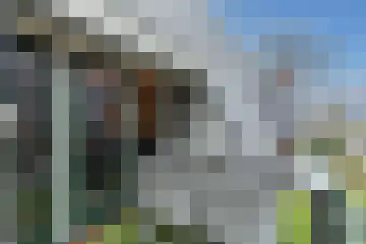 Hoofdstraat 61 Vroomshoop thumbnail 39