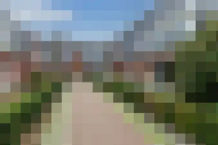 Hoofdstraat 61 Vroomshoop thumbnail 41