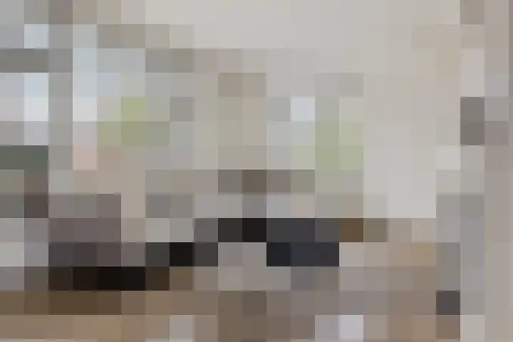 Hoofdstraat 69 Uithuizermeeden thumbnail 11