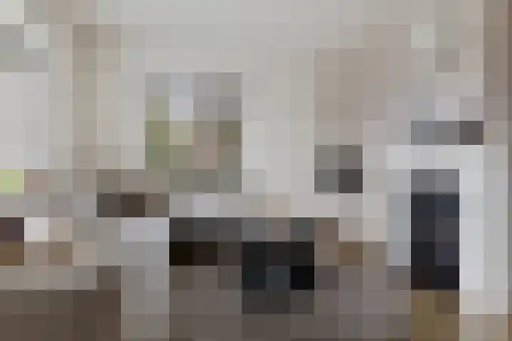 Hoofdstraat 69 Uithuizermeeden thumbnail 12