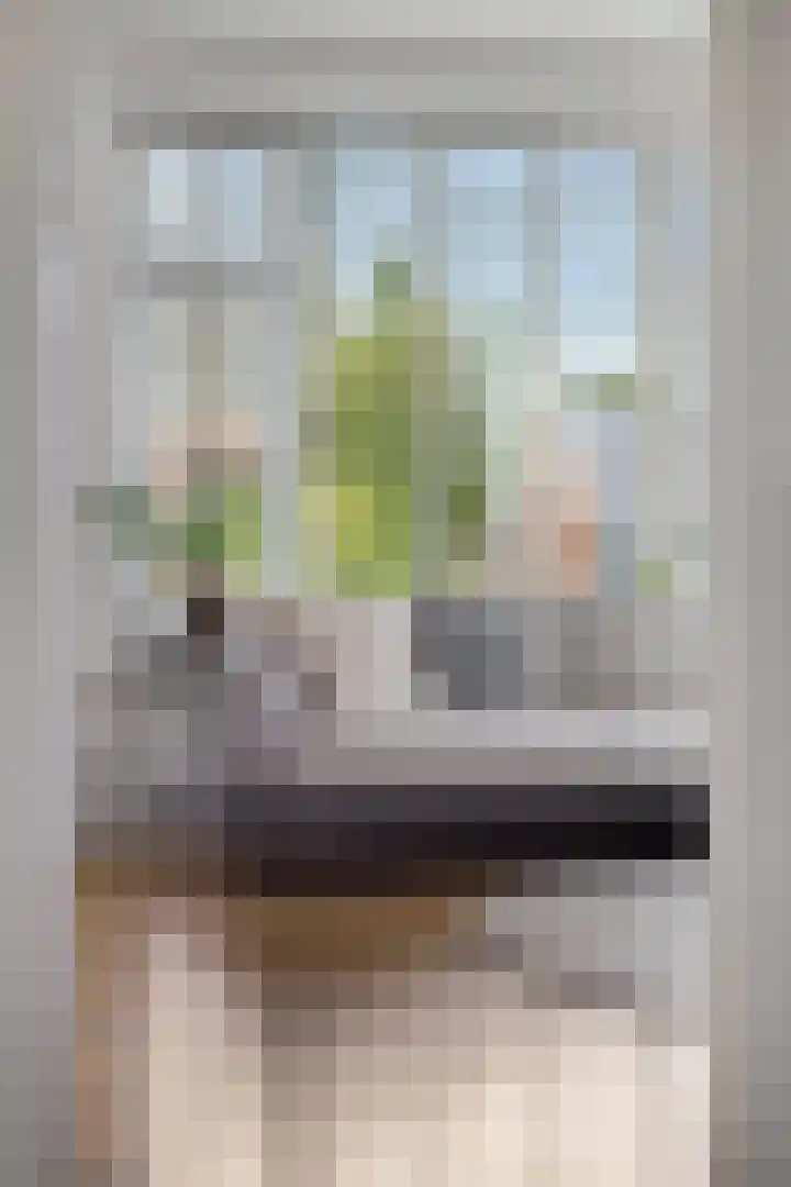 Hoofdstraat 69 Uithuizermeeden thumbnail 19
