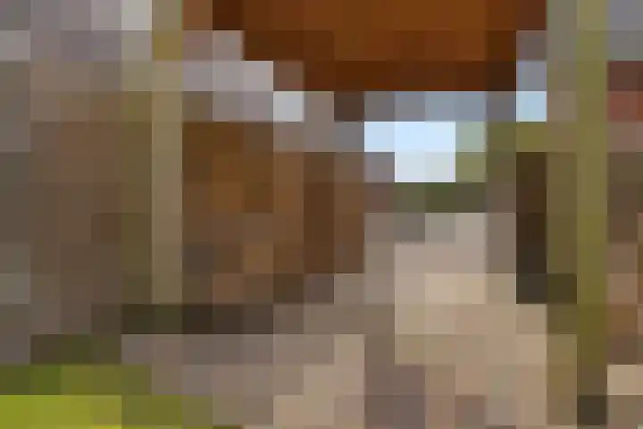 Hoofdstraat 69 Uithuizermeeden thumbnail 42