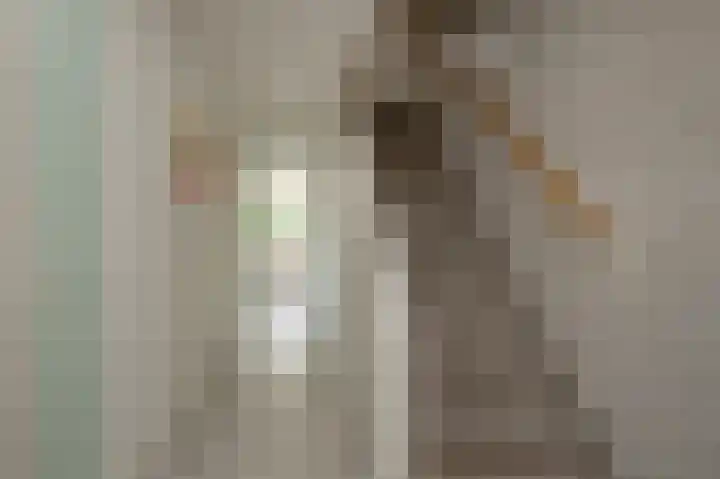 Hoofdstraat 7 Ekehaar thumbnail 26