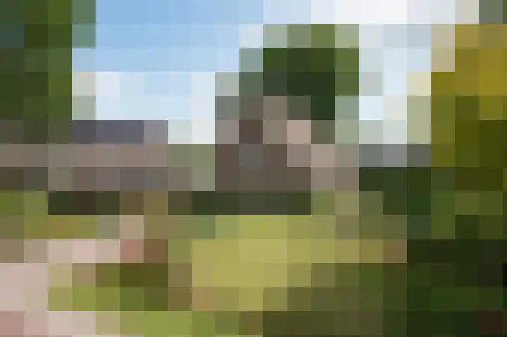 Hoofdstraat 7 Ekehaar thumbnail 4