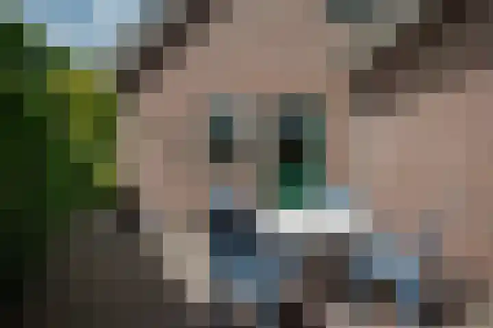 Hoofdstraat 7 Ekehaar thumbnail 48