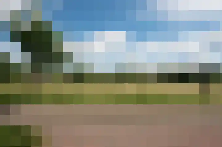Hoofdstraat 7 Ekehaar thumbnail 56