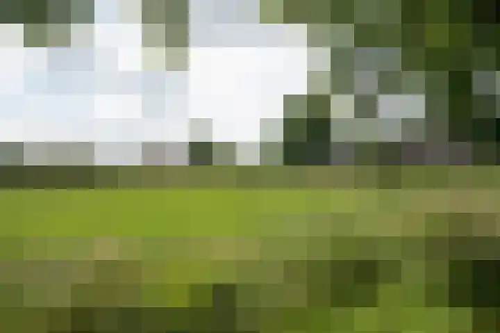 Hoofdstraat 7 Ekehaar thumbnail 57
