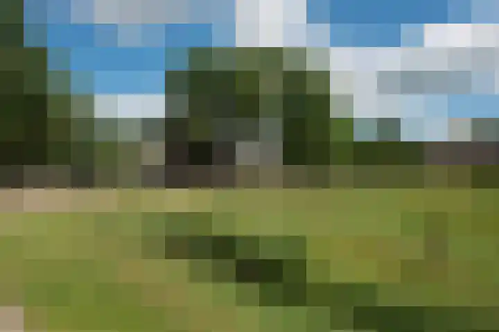 Hoofdstraat 7 Ekehaar thumbnail 58