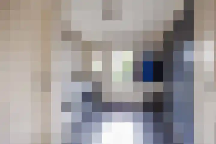 Hoofdstraat 72 Uithuizermeeden thumbnail 11