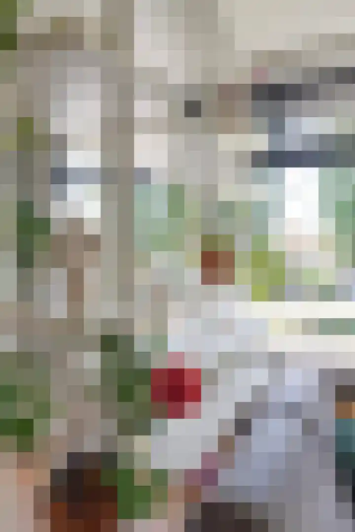 Hoofdstraat 72 Uithuizermeeden thumbnail 23