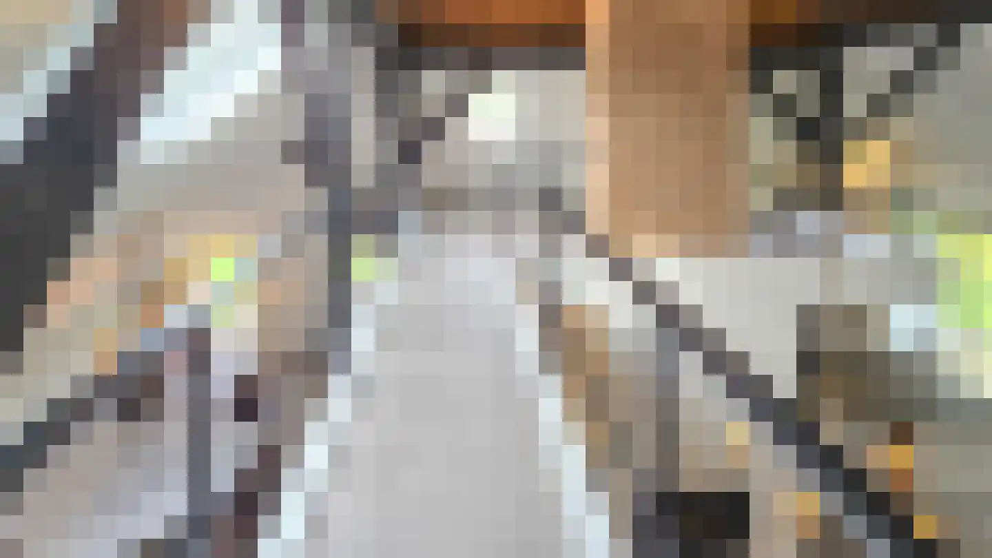 Hoofdstraat 72 Uithuizermeeden thumbnail 6