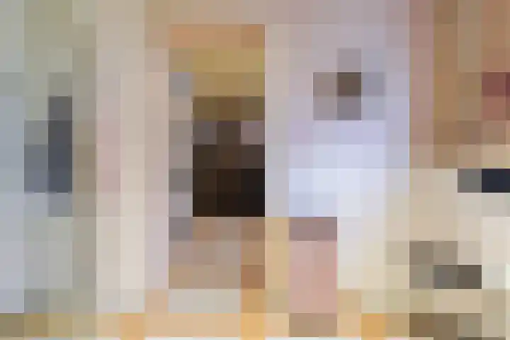 Hoofdstraat 73 Sprang-Capelle thumbnail 20