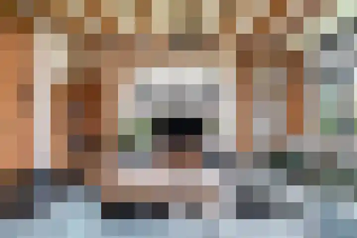 Hoofdstraat 73 Sprang-Capelle thumbnail 8