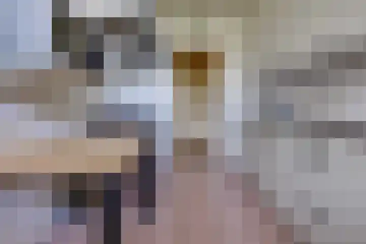 Hoofdstraat 87 Borger thumbnail 14