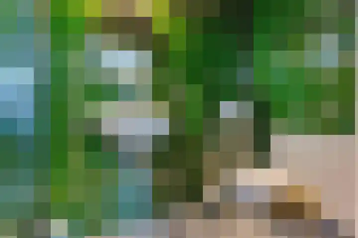 Hoofdstraat 87 Borger thumbnail 22