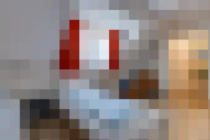 Hoofdstraat 87 Borger thumbnail 35