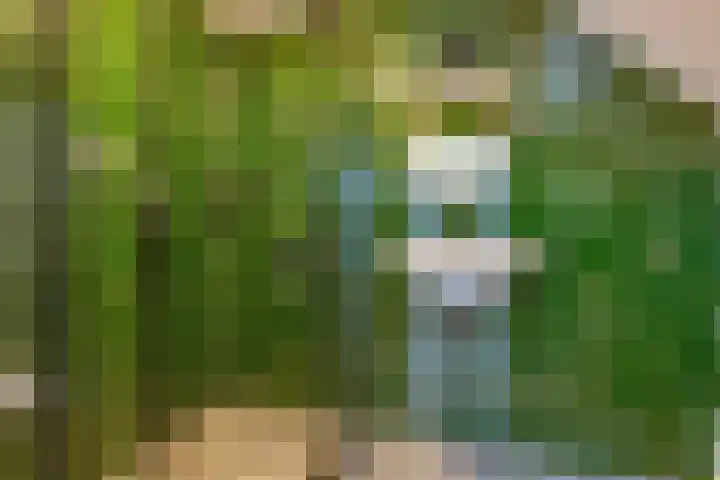 Hoofdstraat 87 Borger thumbnail 41