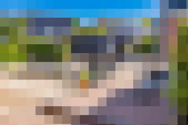 Hoofdstraat 87 Borger thumbnail 44