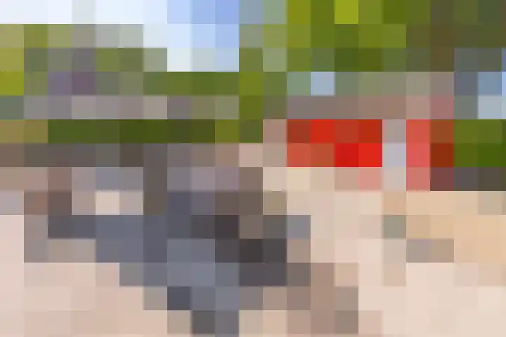 Hoofdstraat 87 Borger thumbnail 47