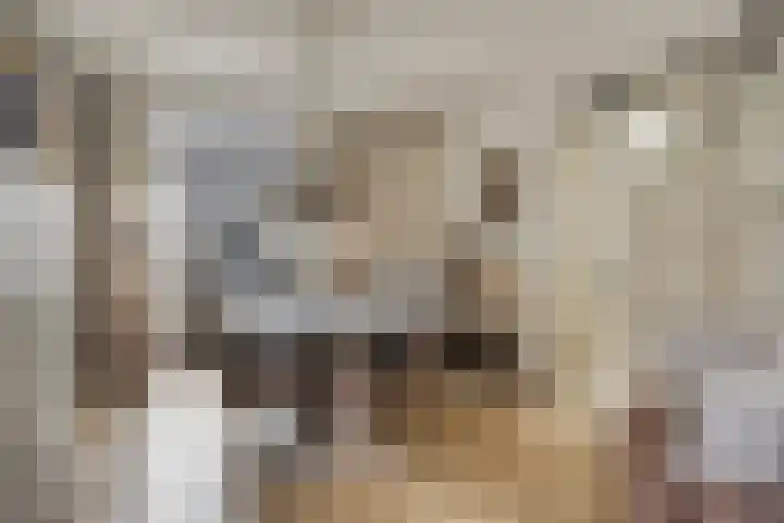 Hoofdstraat 88 Overdinkel thumbnail 10