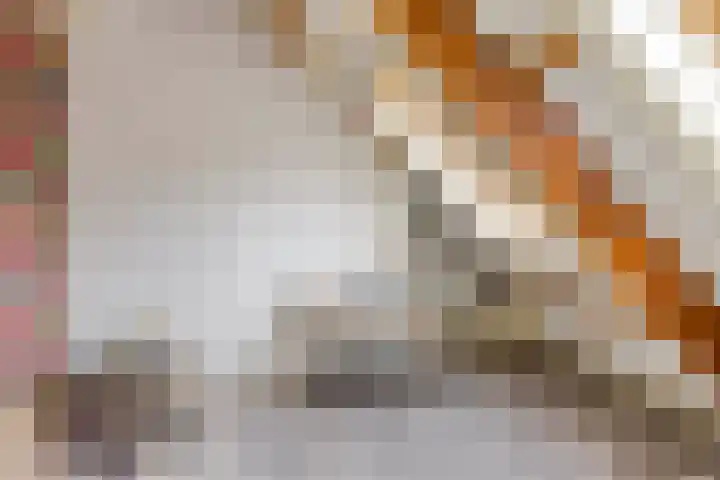 Hoofdstraat 88 Overdinkel thumbnail 26