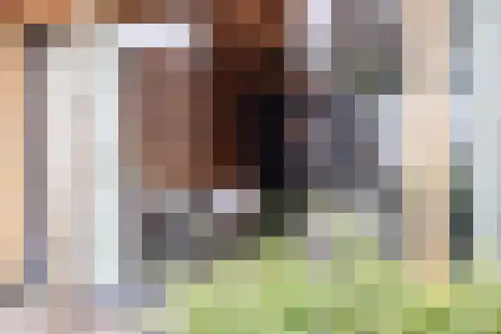 Hoofdstraat 88 Overdinkel thumbnail 30