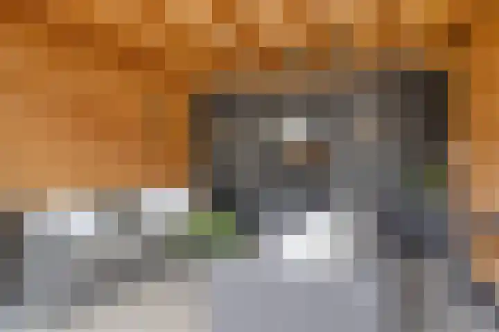 Hoofdstraat 88 Overdinkel thumbnail 31