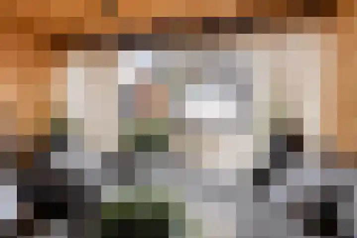 Hoofdstraat 88 Overdinkel thumbnail 32