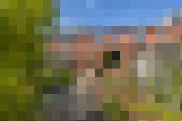 Hoofdstraat 90 Borger thumbnail 19