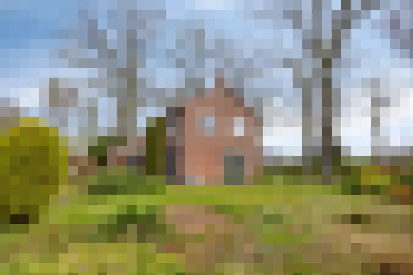 Hoofdstraat 90 Borger thumbnail 41