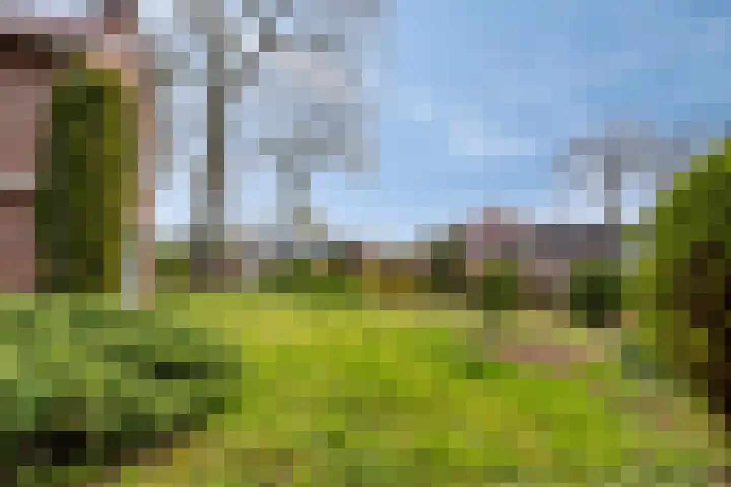 Hoofdstraat 90 Borger thumbnail 42
