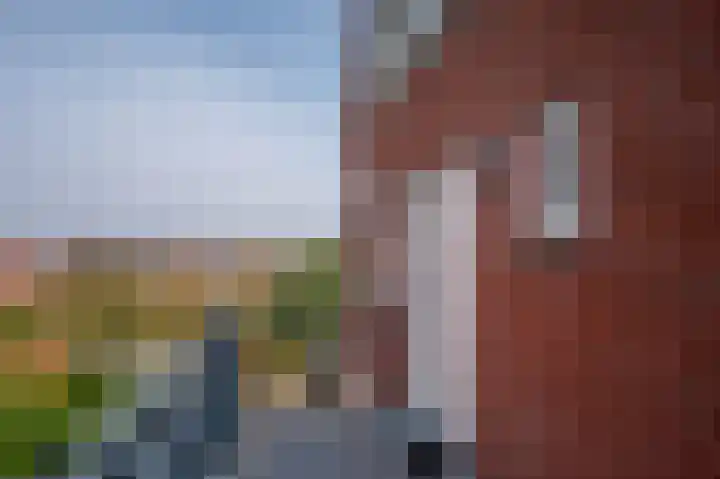 Hoofdstraat 90 Borger thumbnail 44