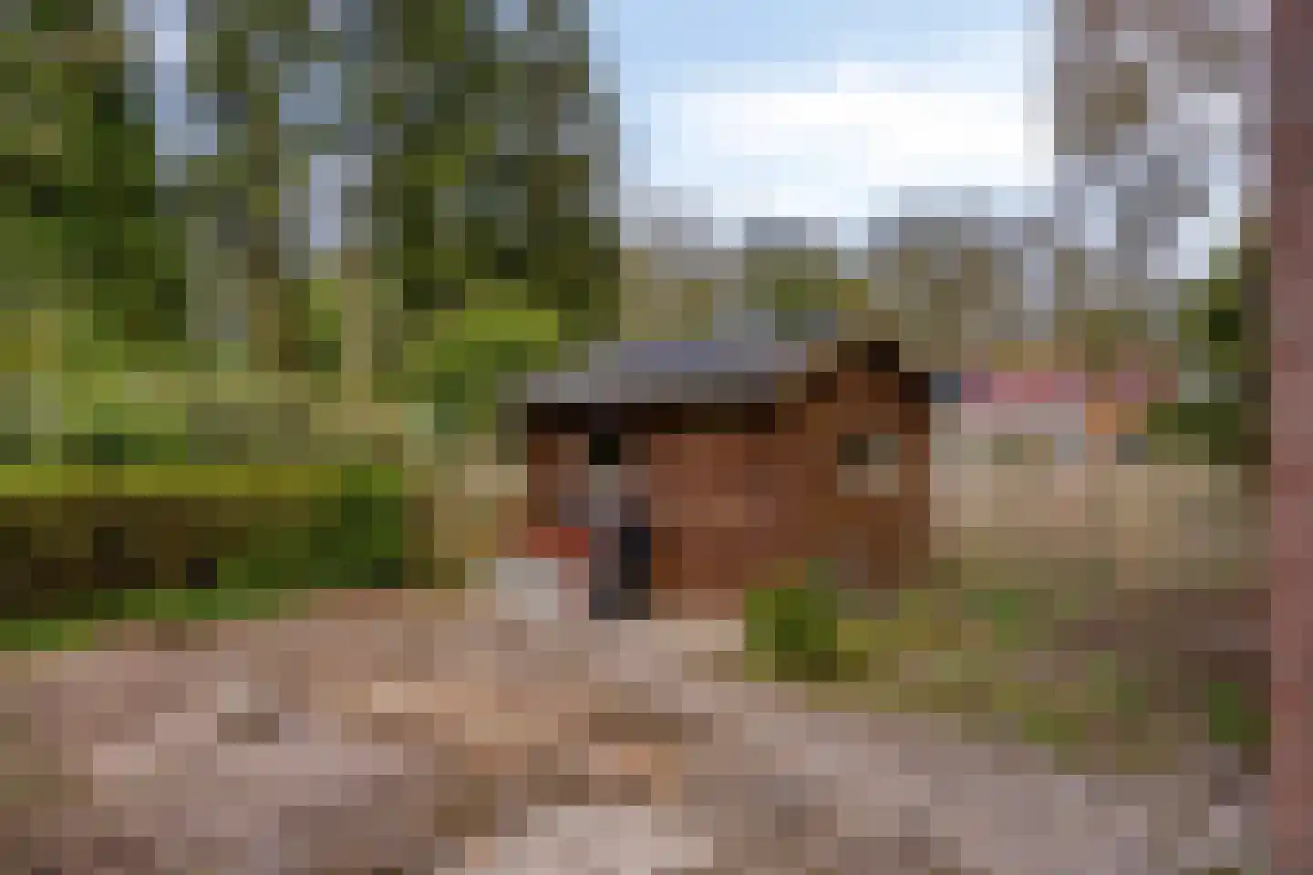 Hoofdstraat 90 Borger thumbnail 46