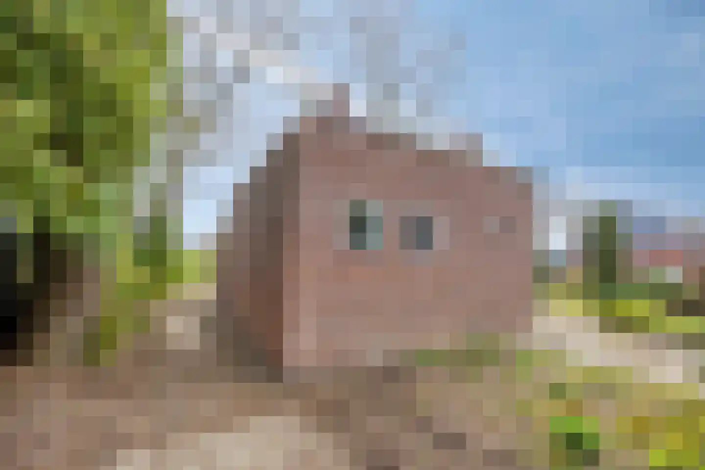Hoofdstraat 90 Borger thumbnail 47