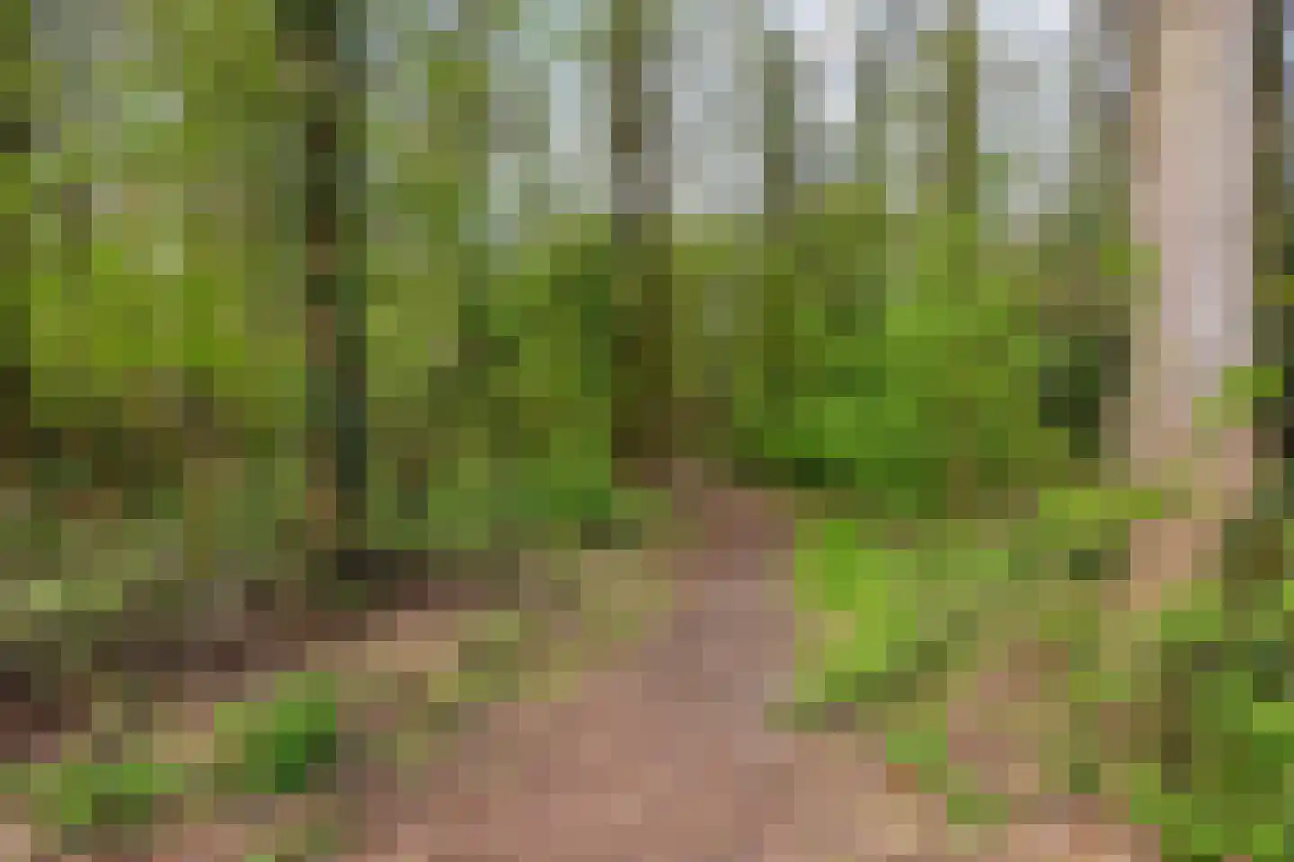 Hoofdstraat 90 Borger thumbnail 48