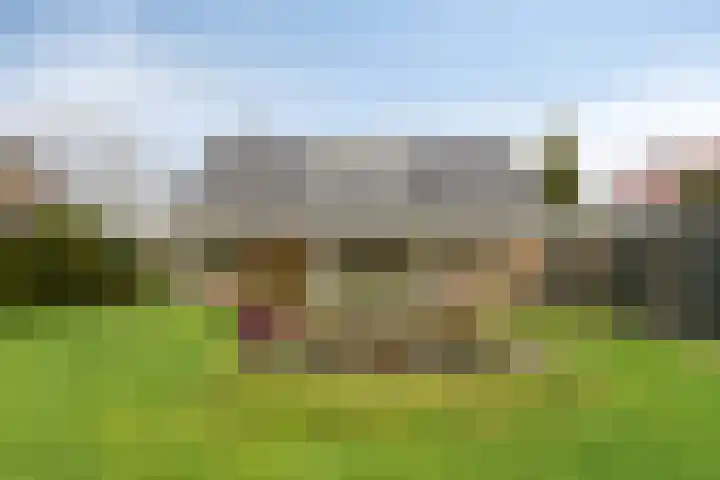 Hoofdstraat West 103 Wolvega thumbnail 30