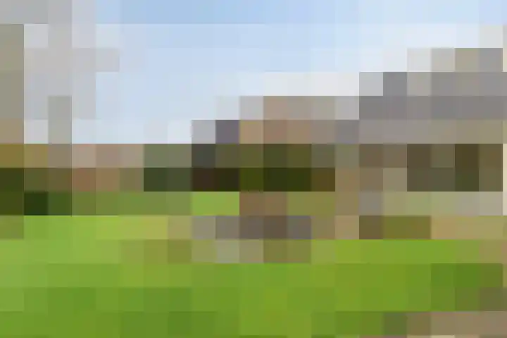 Hoofdstraat West 103 Wolvega thumbnail 32