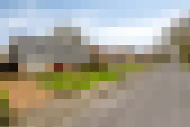 Hoofdstraat West 103 Wolvega thumbnail 35