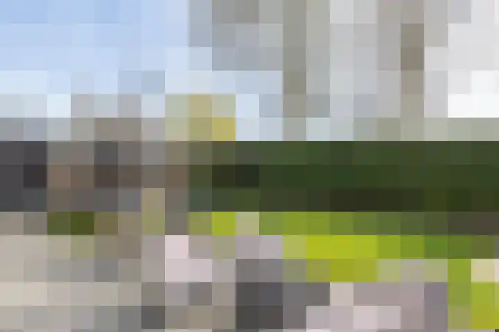 Hoofdstraat West 105 Wolvega thumbnail 50