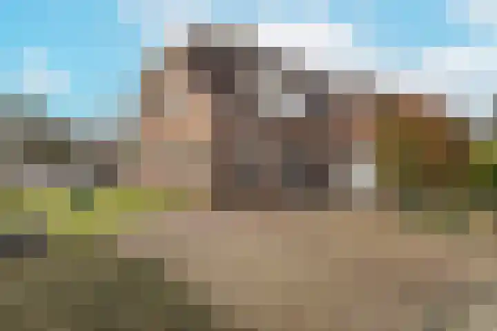 Hoofdvaart 8 Rucphen