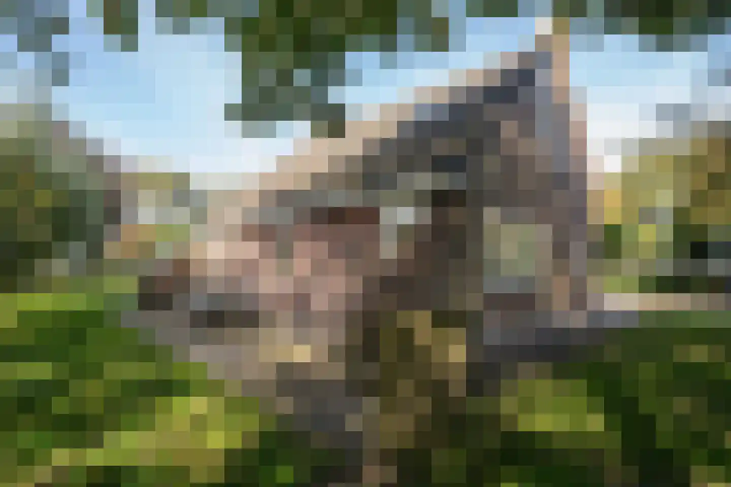 Hoofdweg 103 De Cocksdorp thumbnail 24