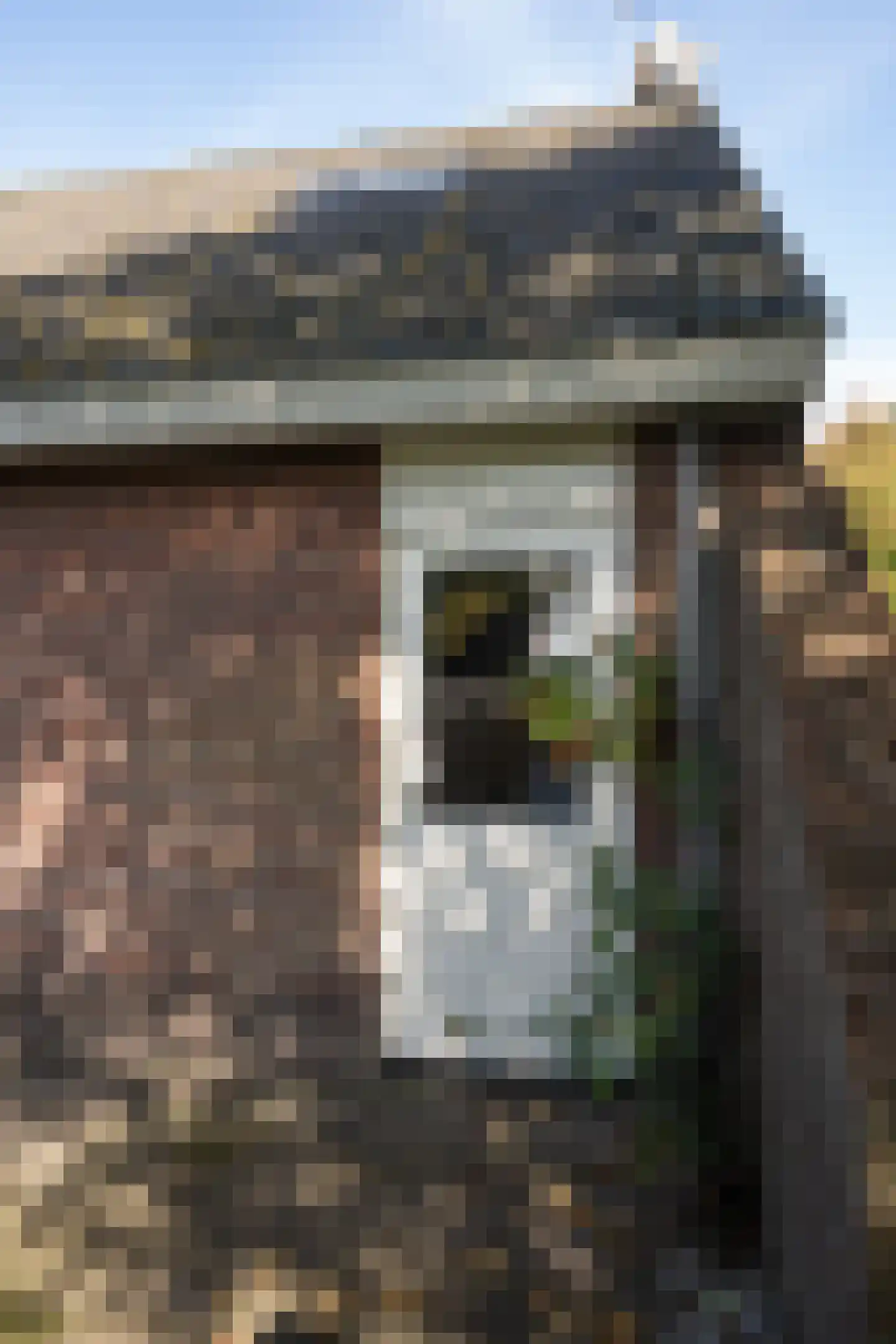 Hoofdweg 103 De Cocksdorp thumbnail 26