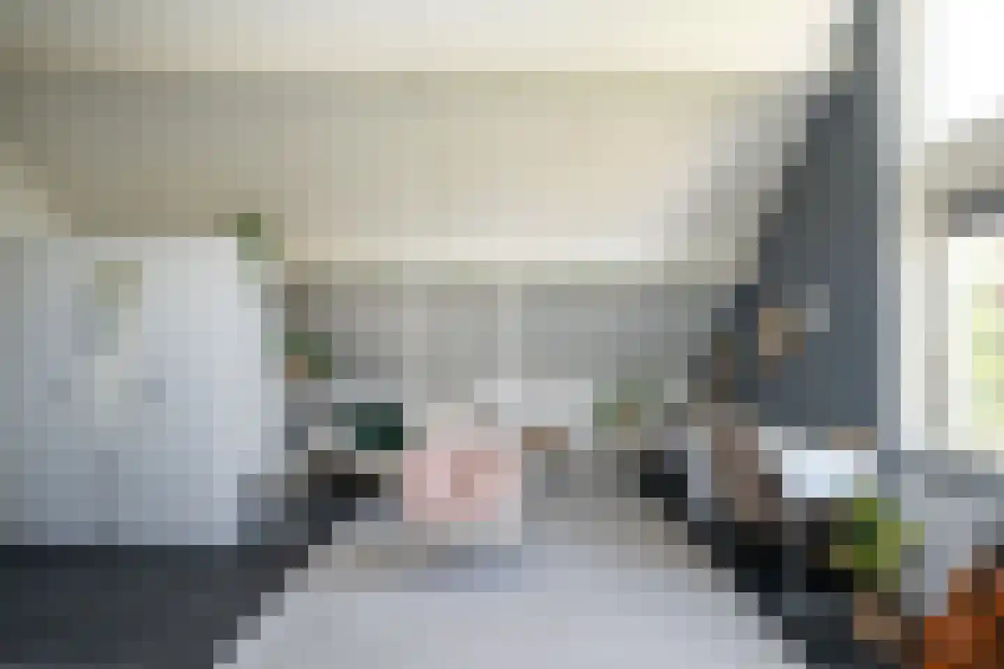 Hoofdweg 103 De Cocksdorp thumbnail 30